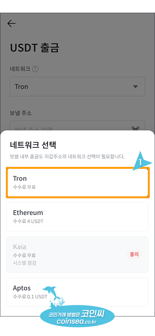 빗썸에서 USDT입금