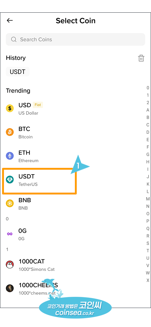 빗썸에서 USDT입금